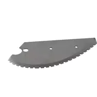 noze-1.jpeg