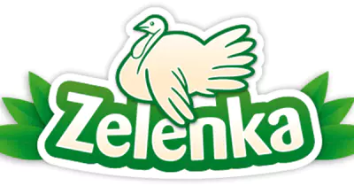 logo (1).png