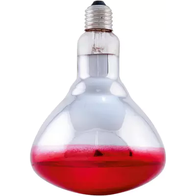 Infra žárovka - červená 250W