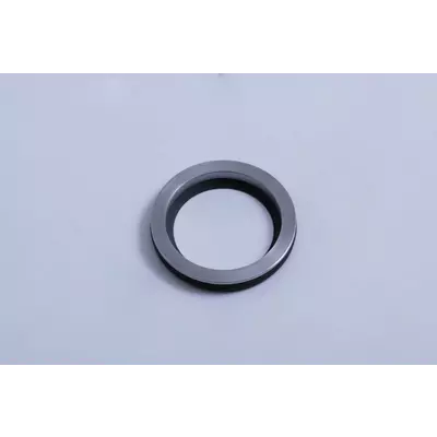 Seydelmann Manzeta RWD 45x62x8 SEY 1078852