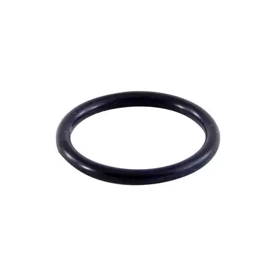 RATIONAL O-kroužek 17x1,5 SCC