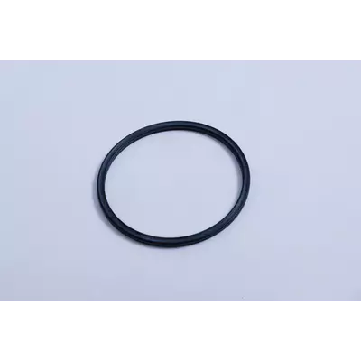 Seydelmann Manzeta 94,62x5,33 4343-366Y SEY 1059157