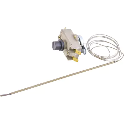 Termostat 4620520