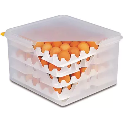 Box na vejce  + 4x plato  82419