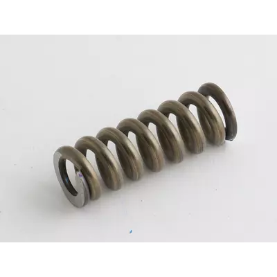 REX technologie Pruzina tlacna 40,5x14