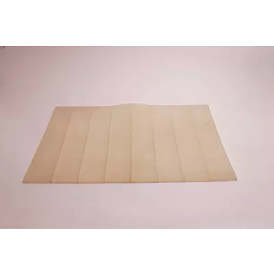 Vakona Clona silikonova PI21