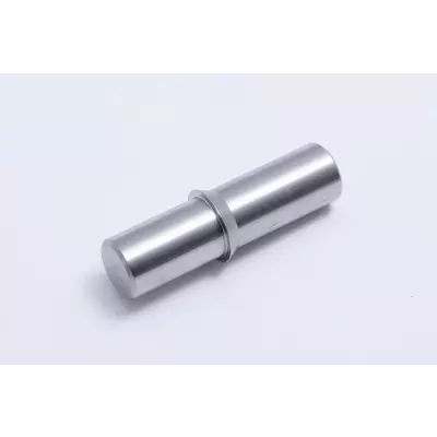 REX technologie Cep pantu - zadni RVF 327