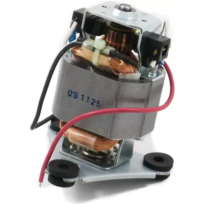 Motor WSG30 029756