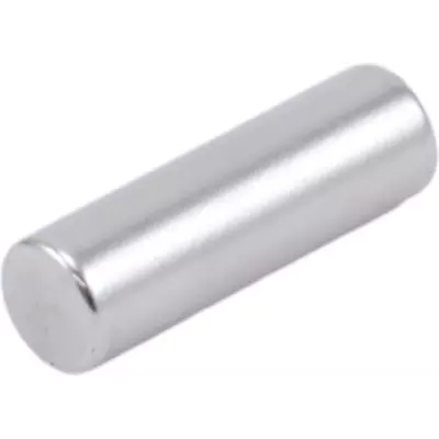 Magnet