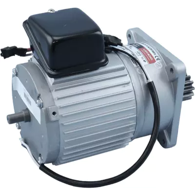 Motor