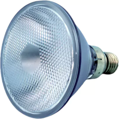 Žárovka halogenová PAR38 230V-240V 80W D40 CLEAR E27 39501