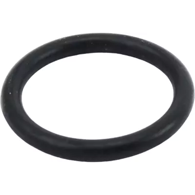 O-krouzek H31 0109 TAL