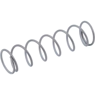 Pruzina SP1 04.BA0021.001 CESK