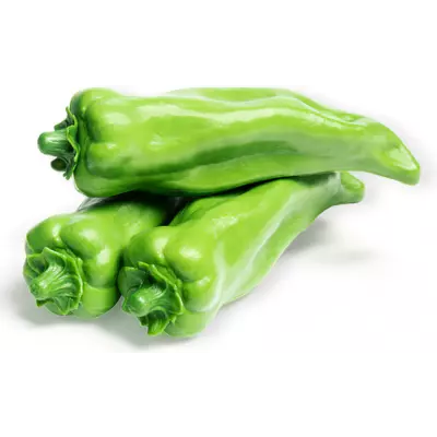 Paprika zelená malá - atrapa