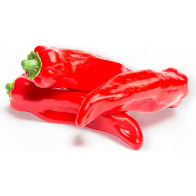 Paprika červená malá  - atrapa