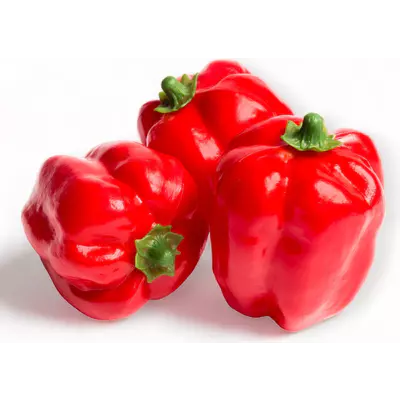 Atrapa paprika červená