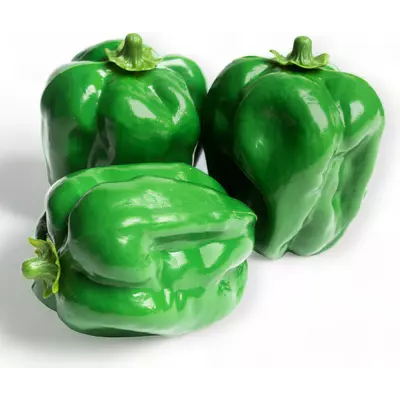 Atrapa paprika zelená