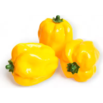 Atrapa paprika žlutá