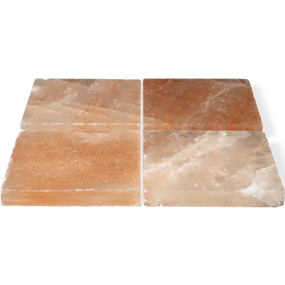 Dry Ager Sada solných bloků Saltair (4ks/sáda) pro DX 1000 Premium S