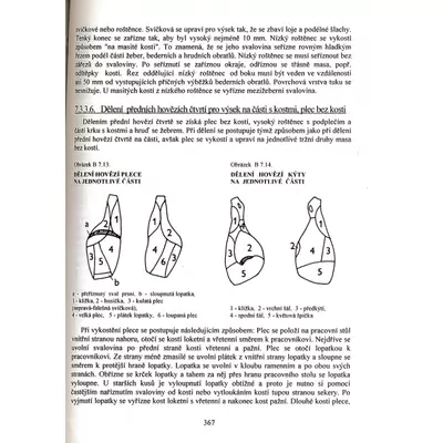 Hygiena a technologie masa Ladislav Steinhauser a kol. (4)