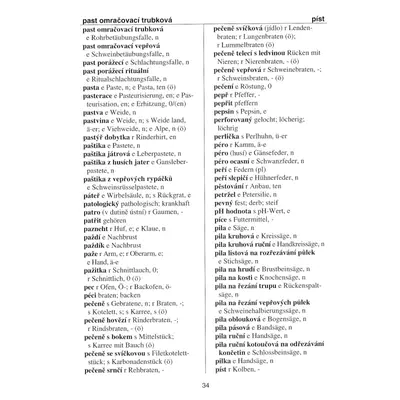 Německo-český a česko-německý slovník pro masnou výrobu Karel Smolka (4)