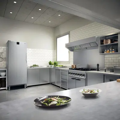 LIEBHERR Skříň chladicí FRFvg 6501 (6)