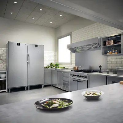 LIEBHERR Skříň chladicí FRFvg 6501 (5)