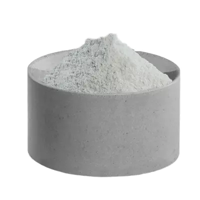 Gewürzmüller Směs kořenící - Šunkový salám combi 1Kg (3)