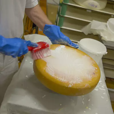 Vikan Kartáč s krátkou rukojetí měkký - zelený (6)