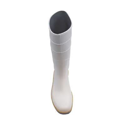 Dunlop Holínky TRICOLOUR 42 ACIFORT (3)