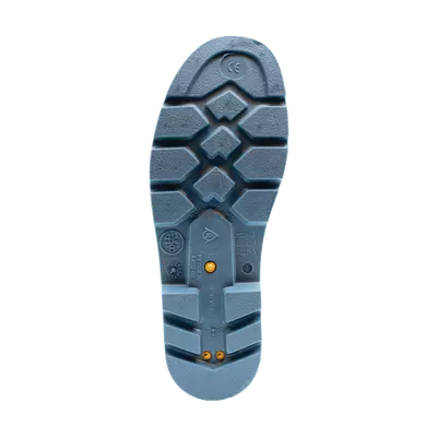 Dunlop Holínky TRICOLOUR 42 ACIFORT (5)