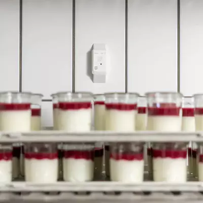 Testo 164 T1 - Mini online záznamník s integrovaným teplotním senzorem (4)