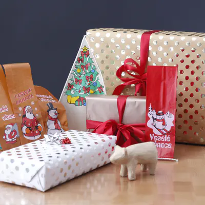 Sněhulák na lyžích sáček 80 x 250 mm, hmotnost po naplnění 0,4 kg (4)