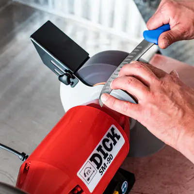 F. Dick Bruska lamelární kotoučová SM-90 (4)