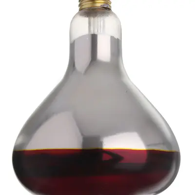 HENDI Žárovka infračervená , HENDI, Červená, 230V/250W, ⌀125x(H)170mm (2)