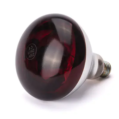 HENDI Žárovka infračervená , HENDI, Červená, 230V/250W, ⌀125x(H)170mm (3)