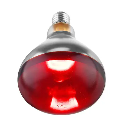 HENDI Žárovka infračervená , HENDI, Červená, 230V/250W, ⌀125x(H)170mm (4)