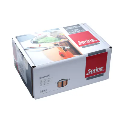 Spring Hrnec s poklicí 16 cm / 2l (2)