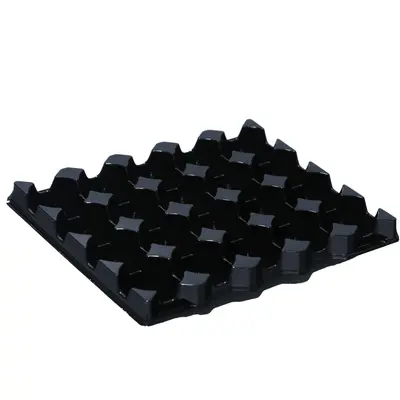 Plato na 20 ks vajec, GN 1/2 (2)