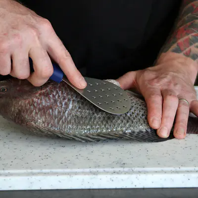 F. Dick Škrabky na rybí šupiny   9 1076 00 (4)