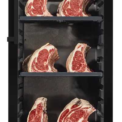 Dry Ager Lednice zrací DX 1000 BPS Premium S (černá) (2)