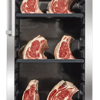 Dry Ager Lednice zrací DX 1000 PS Premium S (nerez) (2)