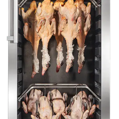 Dry Ager Lednice DX 1000 Premium S (nerez) (3)