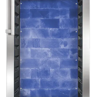 Dry Ager Lednice DX 1000 Premium S (nerez) LED SALT WALL (2)