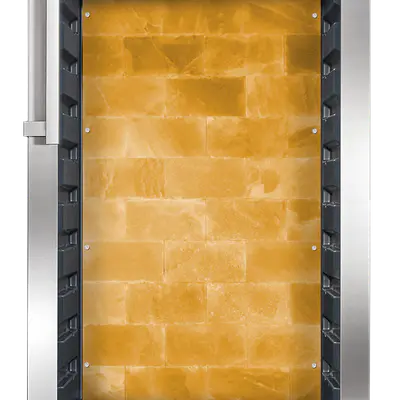 Dry Ager Lednice DX 1000 Premium S (nerez) LED SALT WALL (4)