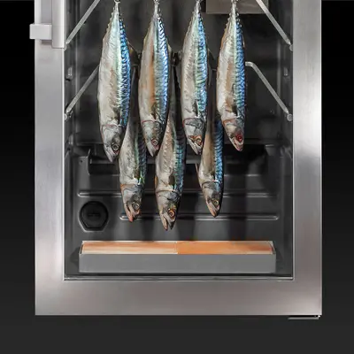 Dry Ager Sada solných bloků Saltair (2ks/sáda) pro DX 500 Premium S (2)