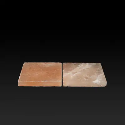 Dry Ager Sada solných bloků Saltair (2ks/sáda) pro DX 500 Premium S (4)