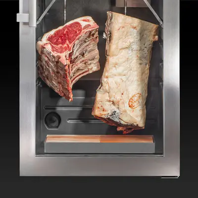 Dry Ager Solná miska Saltair pro DX 500 Premium S (2)