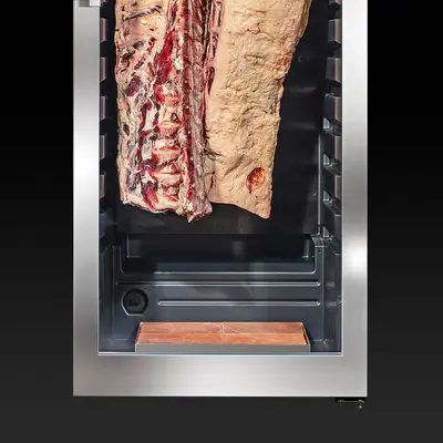 Dry Ager Sada solných bloků Saltair (4ks/sáda) pro DX 1000 Premium S (4)