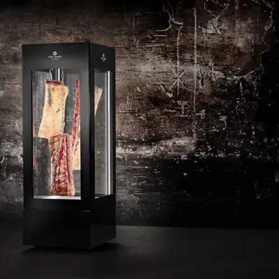 Dry Ager Vitrína zrací panoramatická Vision 360° (5)